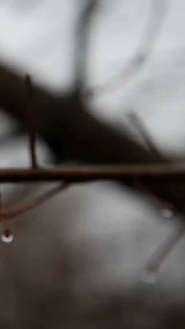 escort-media-13c93ab2-8dd5-44b3-9b48-9bf5c7bfc249