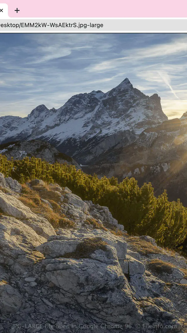 escort-media-3b2fd013-0a9c-4359-9a4a-7d589555dcec