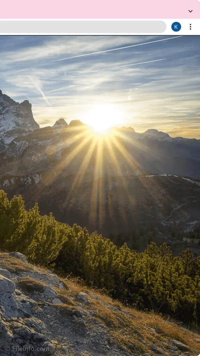 escort-media-b5741a47-c17f-415f-8aa0-9ffe06ea2454