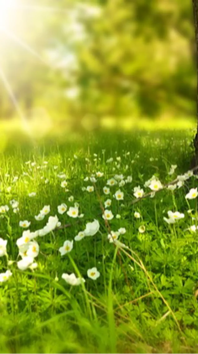 escort-media-c5fc2bac-9367-45b8-915d-a172607f7fc2